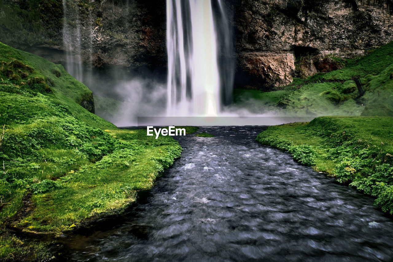 WATERFALL IN A FOREST