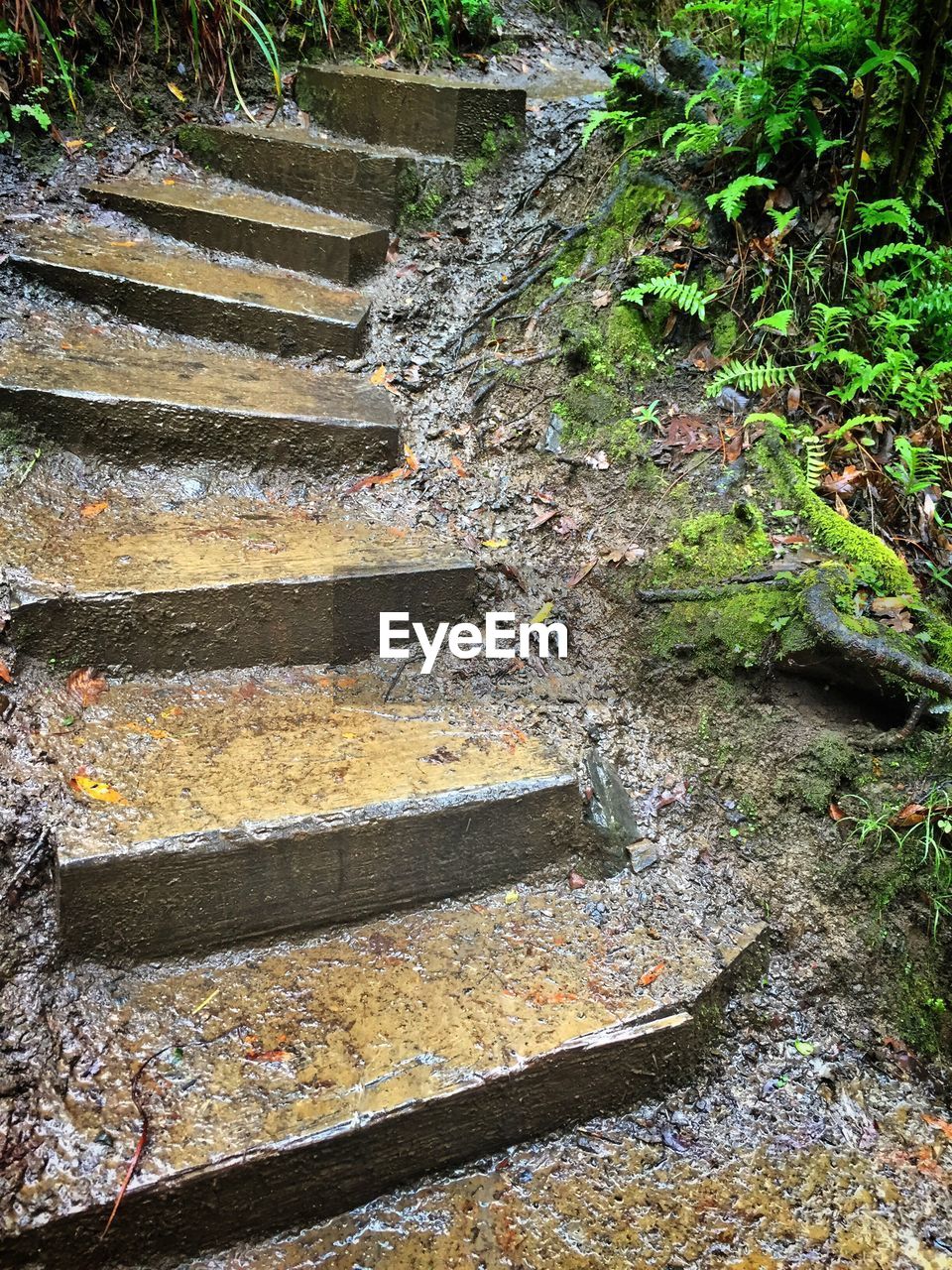 VIEW OF STAIRCASE