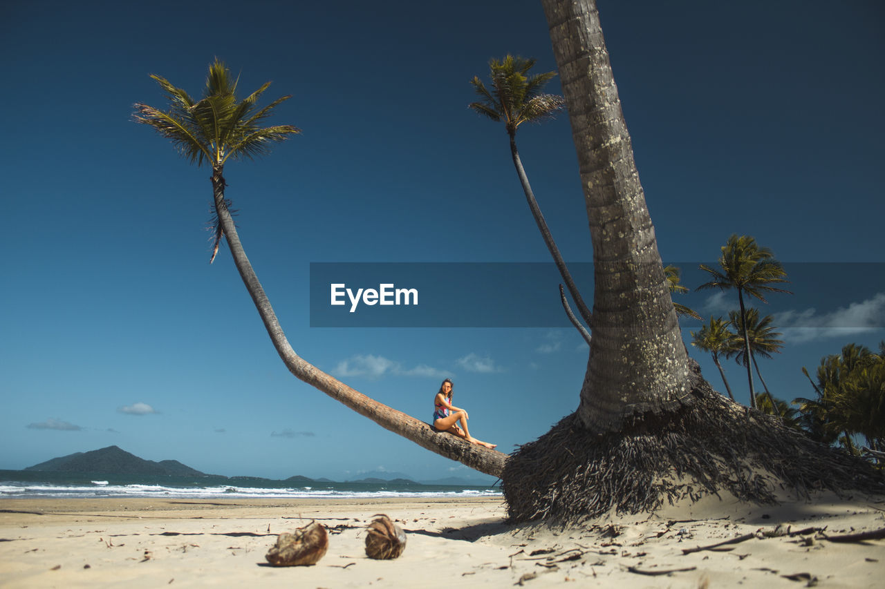 Woman and palm tree on beach against sky