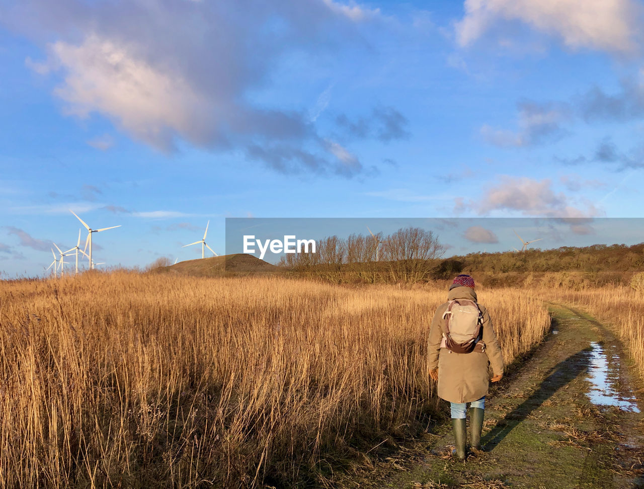 Rear view of a woman walking towards wind turbines through wetlands at dawn