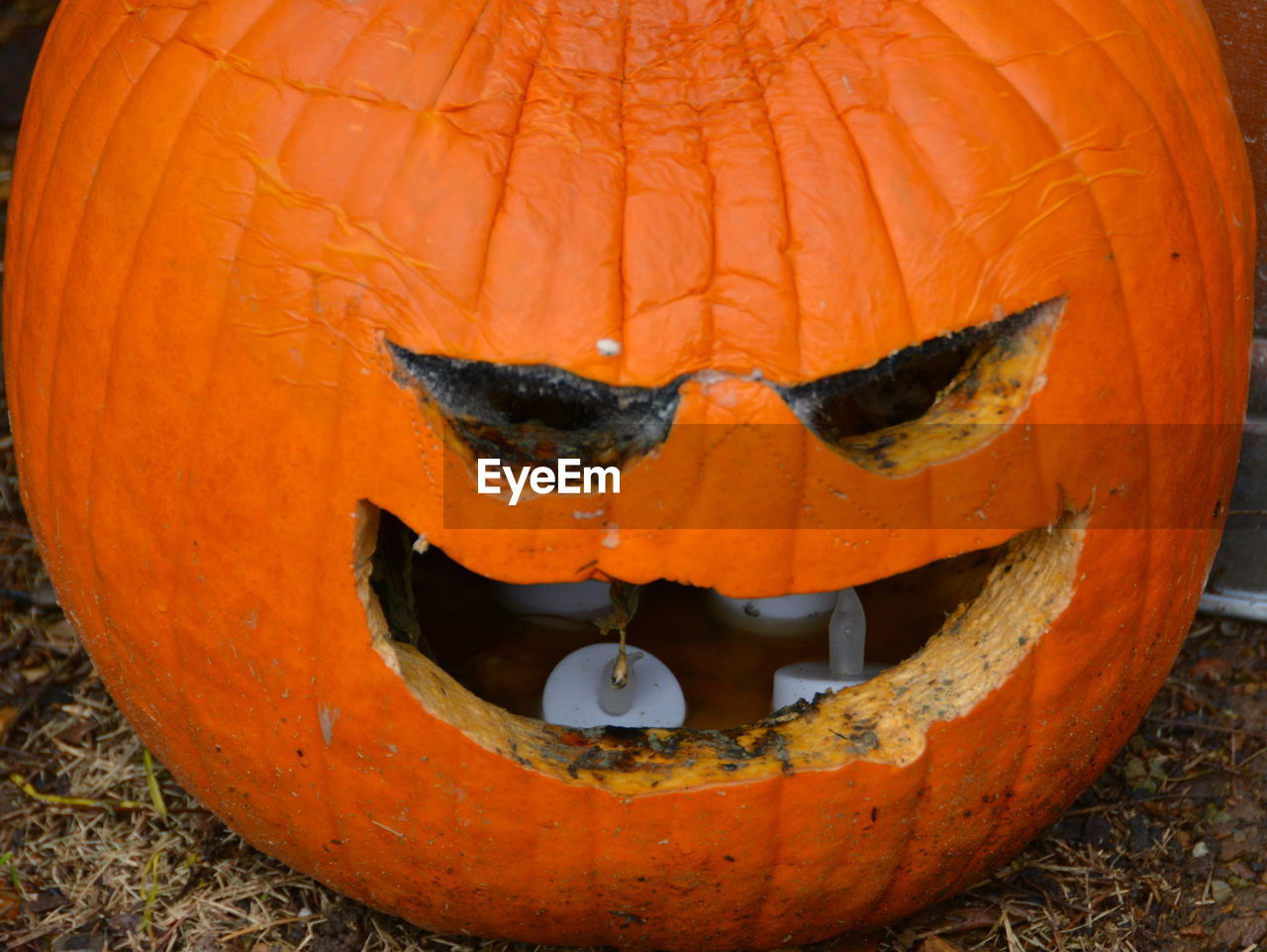 Close-up of jack o lantern on field