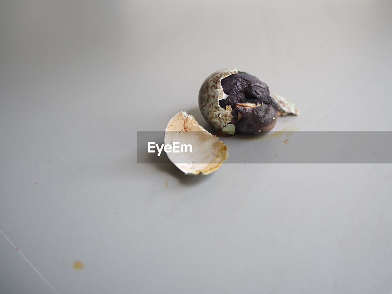 HIGH ANGLE VIEW OF ICE CREAM ON WHITE BACKGROUND