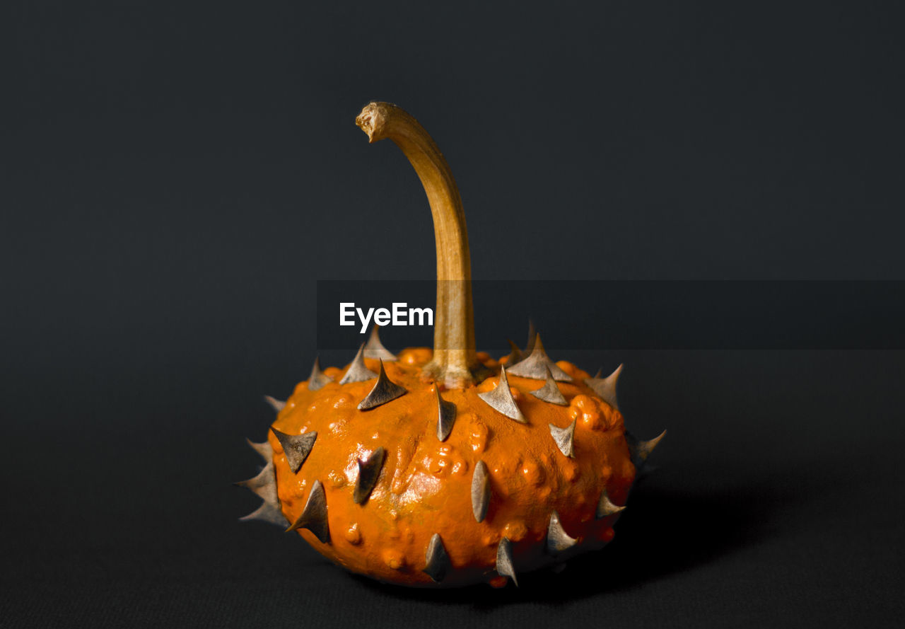 Close-up of orange pumpkin with spins on dark background