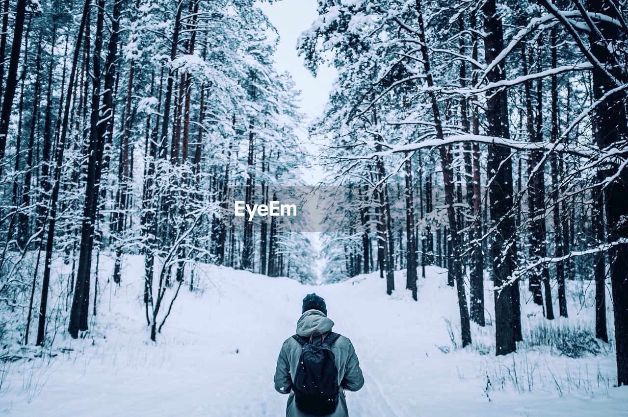 Rear view of man amidst trees on snow covered field at forest