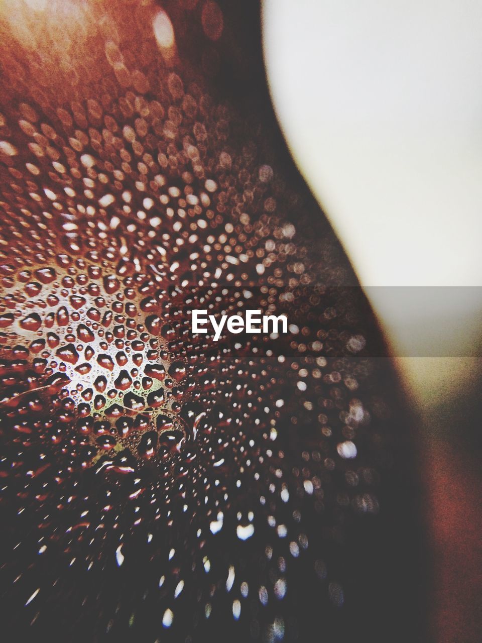 Close-up of waterdrops on glass against blurred background