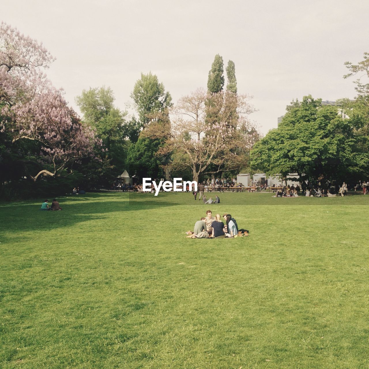 View of people sitting in park