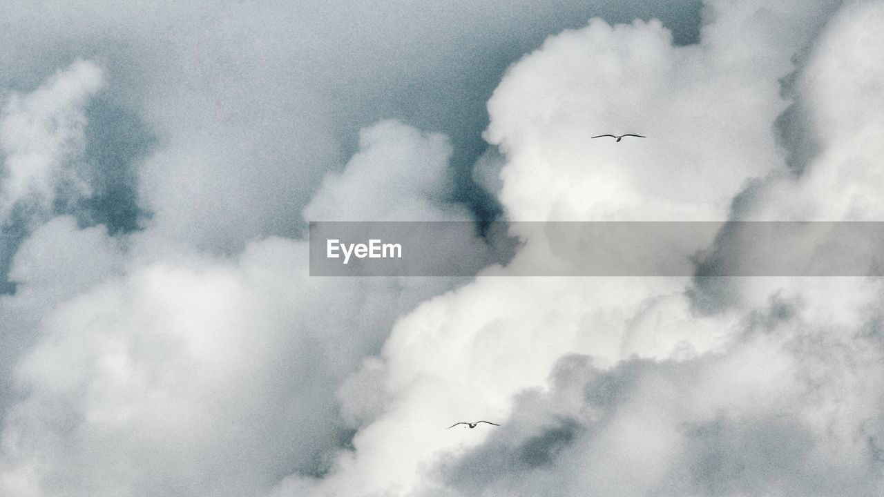 CLOSE-UP OF AIRPLANE FLYING AGAINST SKY