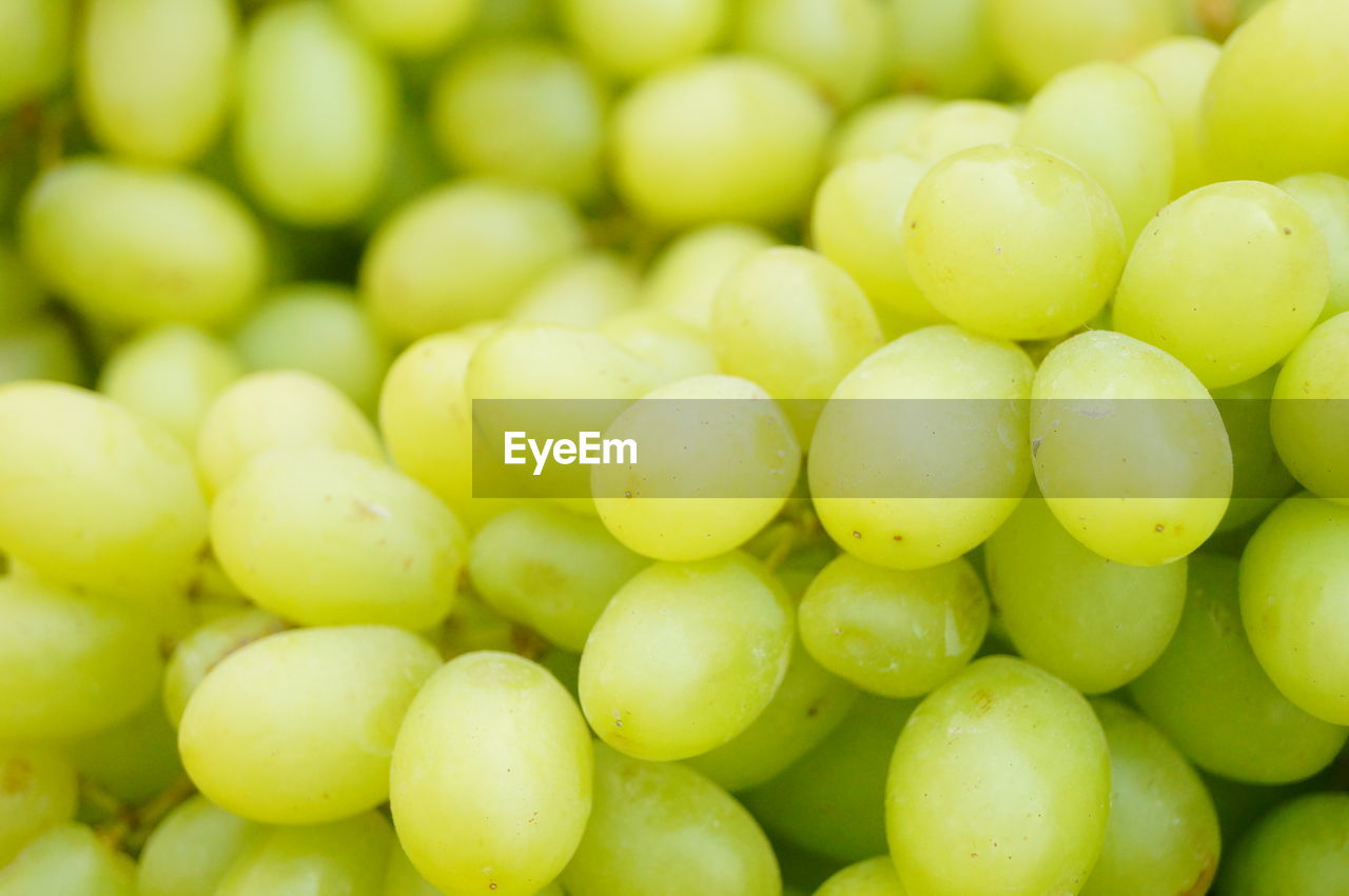 FULL FRAME SHOT OF GRAPES IN GREEN BACKGROUND