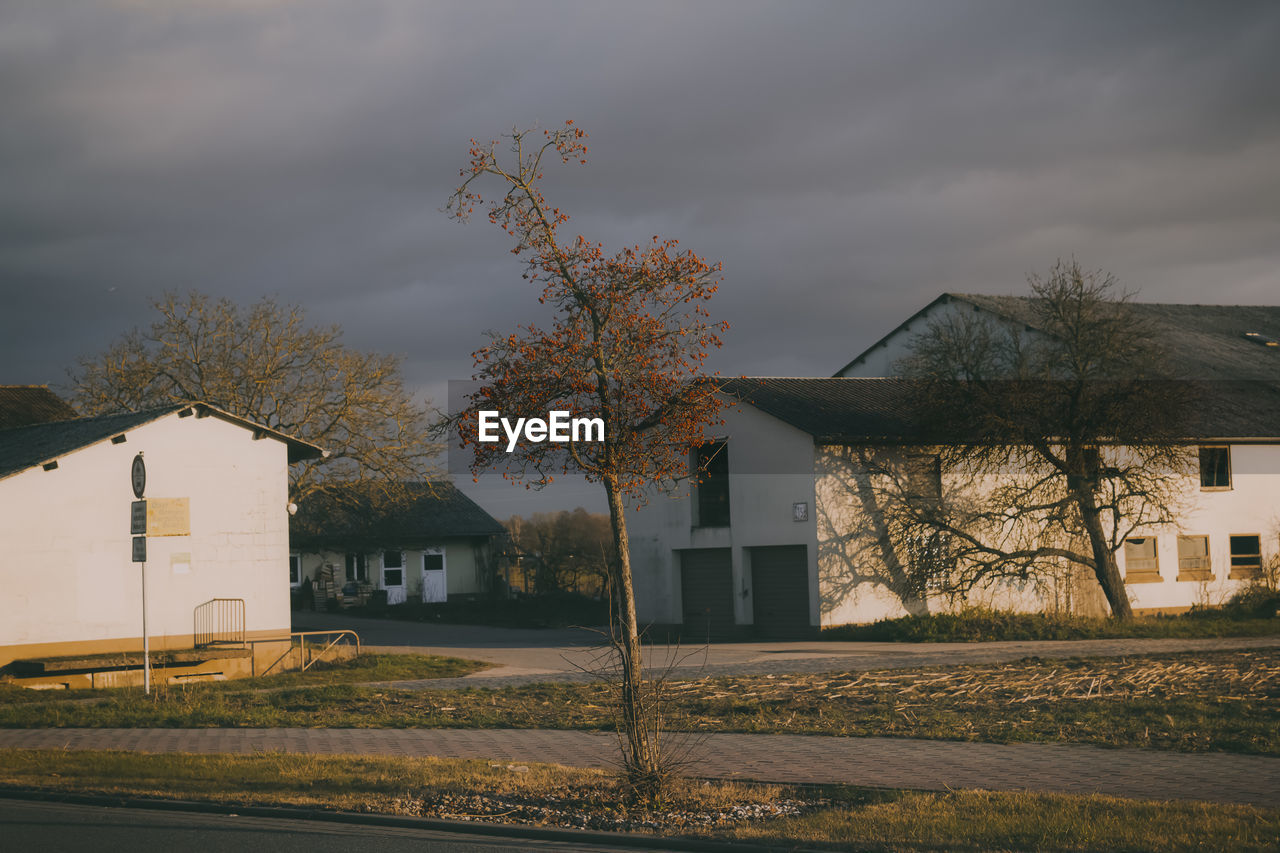 House by bare tree against sky