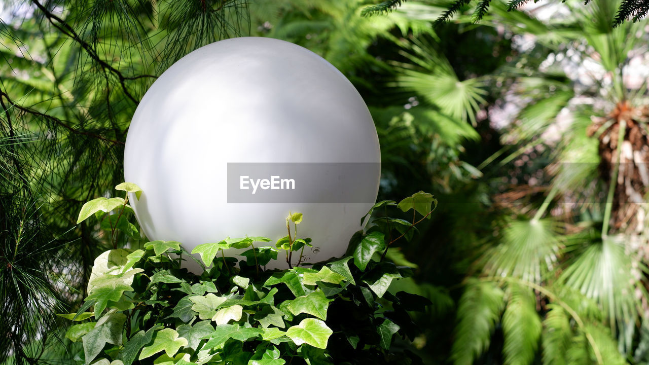 White spherical lantern illuminates the garden against the background of green plants in the city.