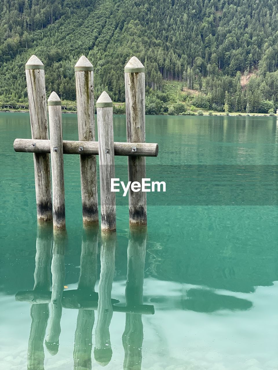 WOODEN POST ON LAKE