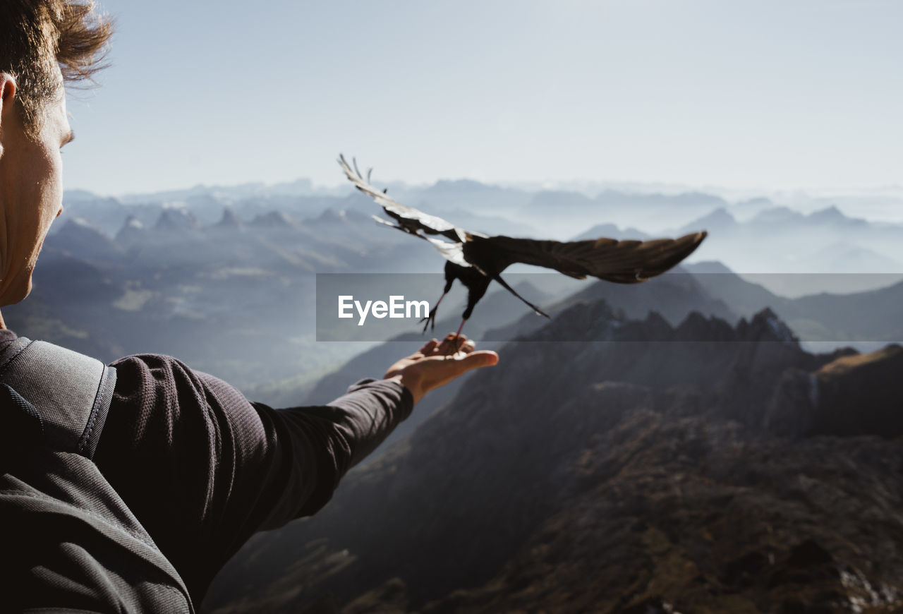 Cropped image of man holding bird