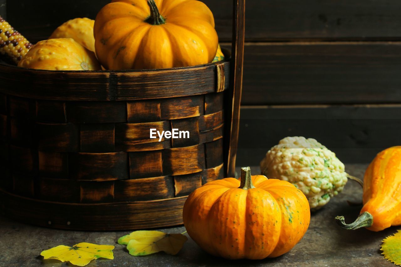 CLOSE-UP OF PUMPKINS IN PUMPKIN