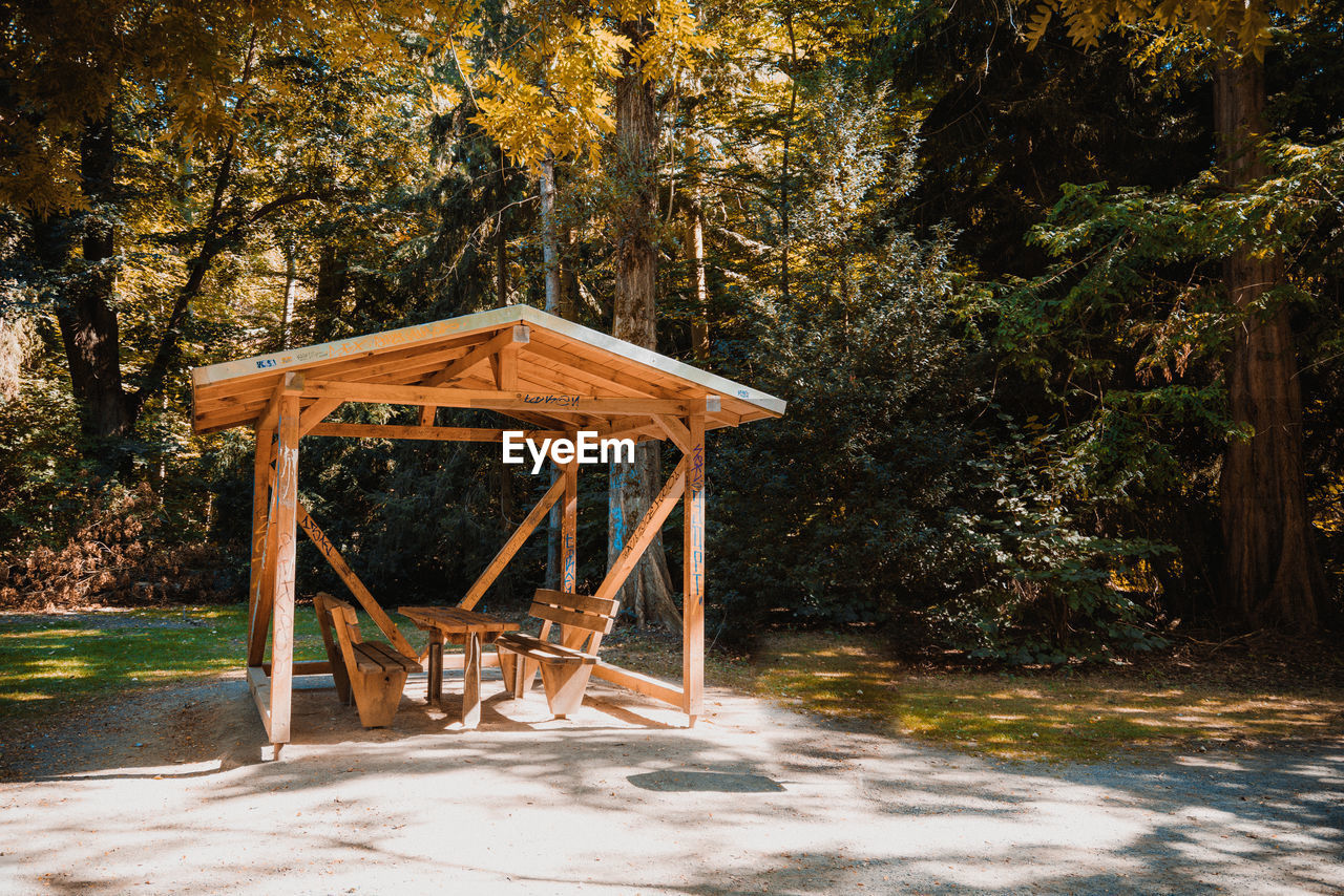 tree, plant, nature, land, no people, wood, forest, architecture, day, autumn, sunlight, outdoors, tranquility, built structure, absence, seat, woodland, beauty in nature, leaf, backyard, shadow, park, growth, water, park - man made space, tranquil scene, playground, wilderness, hut