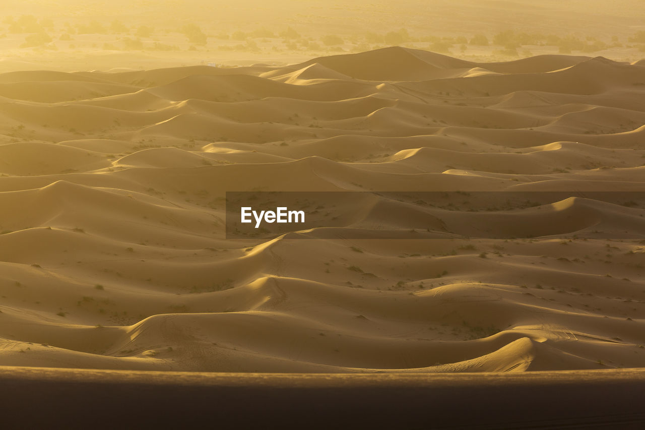 Full frame shot of sand dune