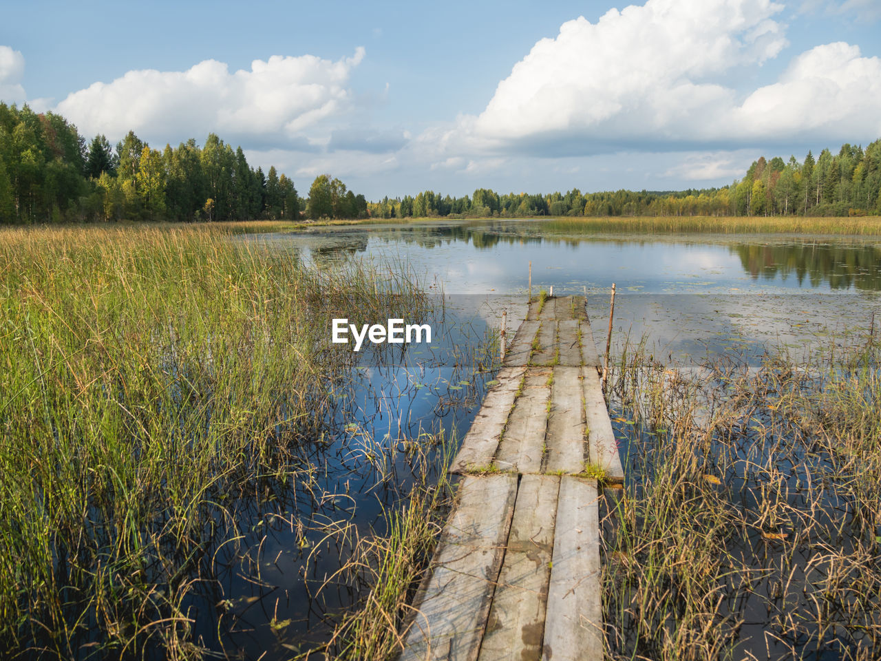 water, natural environment, plant, wetland, marsh, nature, sky, reflection, river, landscape, environment, cloud, scenics - nature, tree, beauty in nature, land, grass, tranquility, shore, no people, waterway, reservoir, swamp, tranquil scene, rural scene, pond, fen, reed, body of water, wilderness, rural area, non-urban scene, outdoors, forest, day, bog, autumn, field, travel destinations, travel, growth, summer, wood, social issues, beach, floodplain, tourism, agriculture