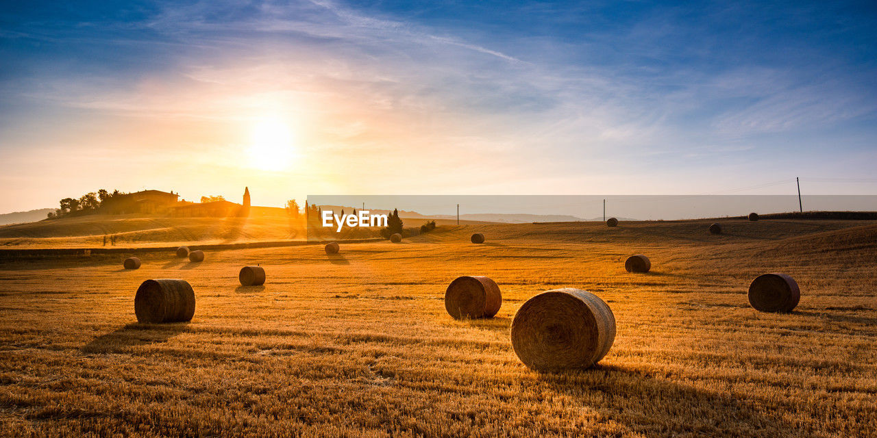 Golden sunset over a hayfield with round bales in a serene rural landscape