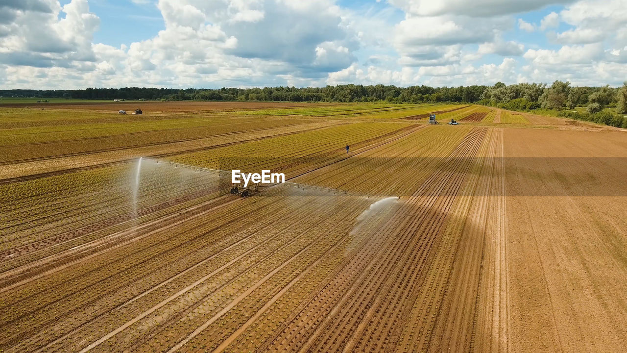 scenic view of agricultural field against cloudy sky