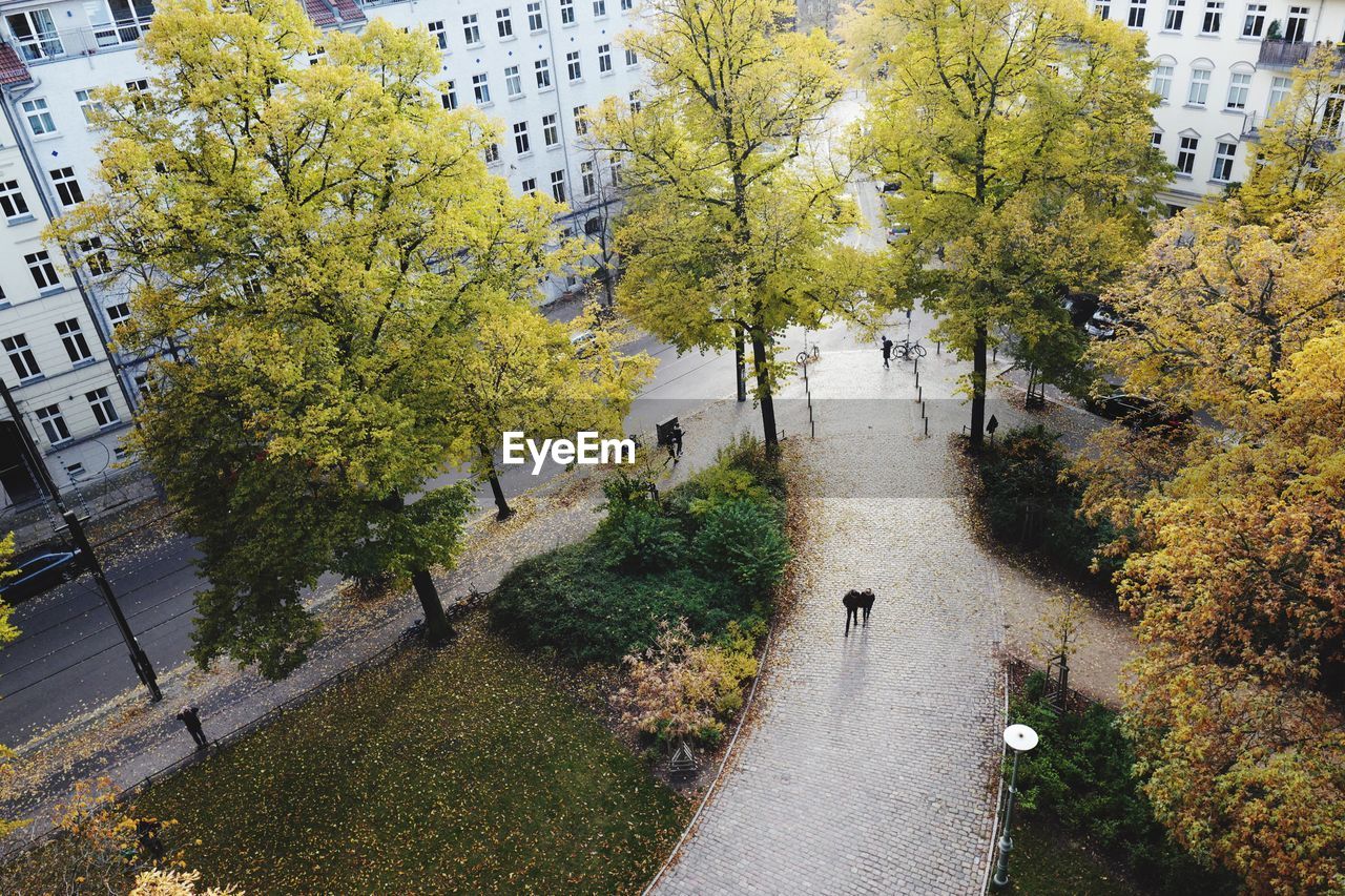 High angle view of footpath amidst trees in city