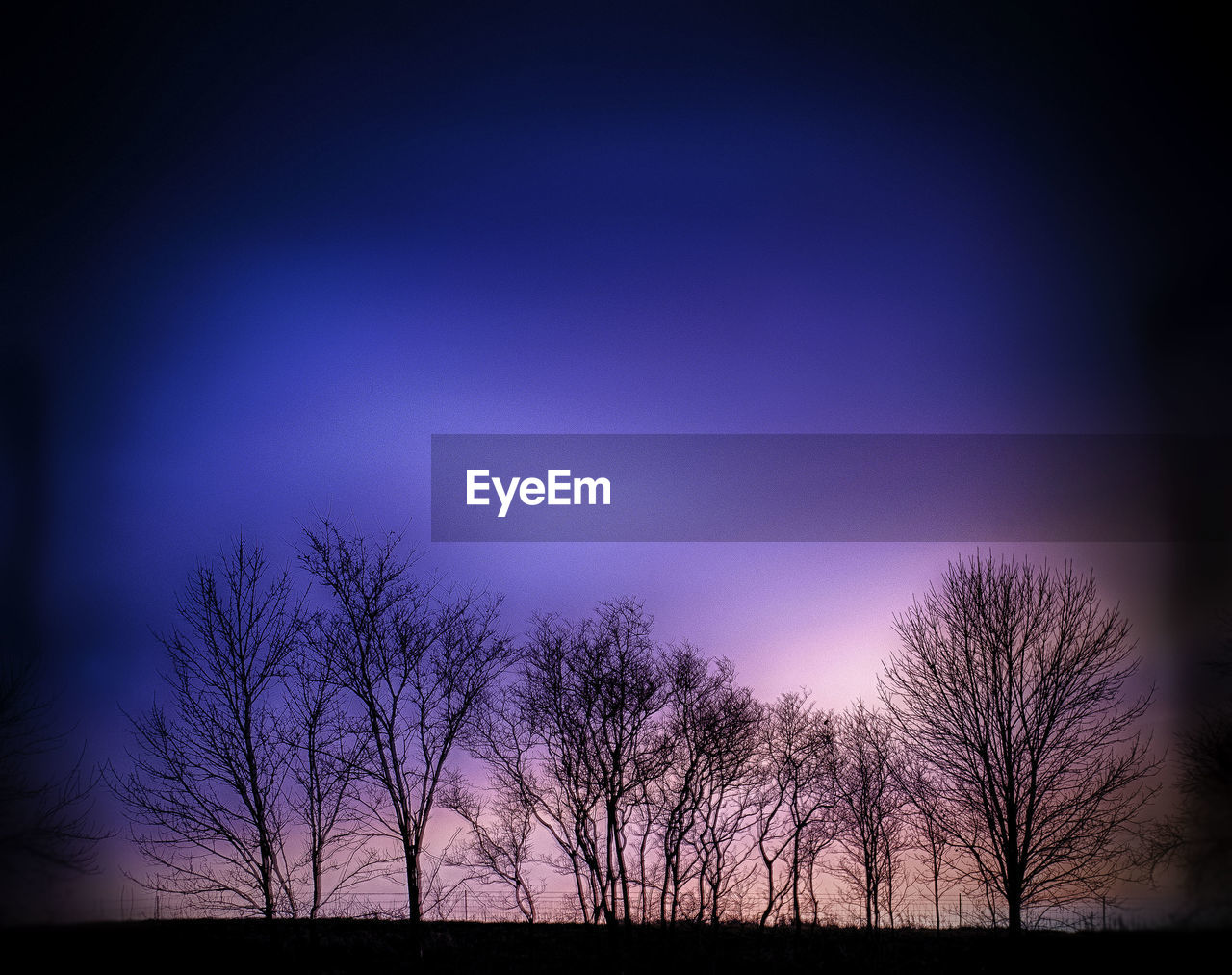 View of bare trees against sky