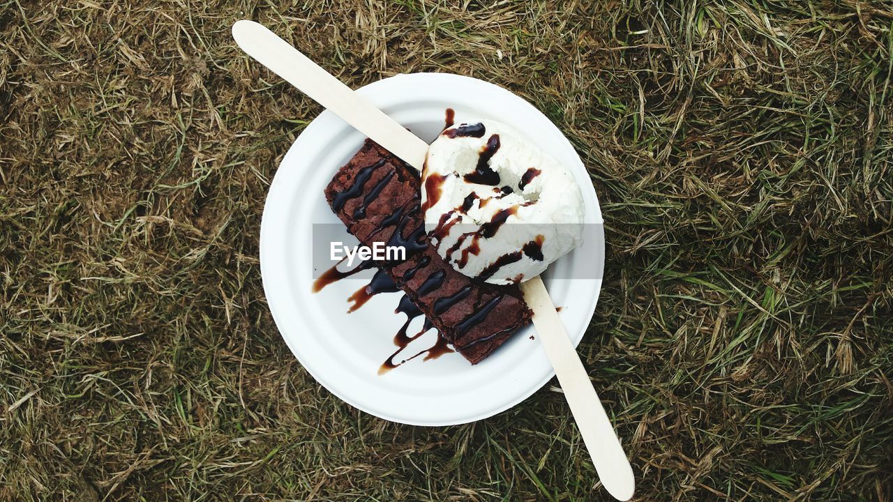 Directly above shot of dessert in plate