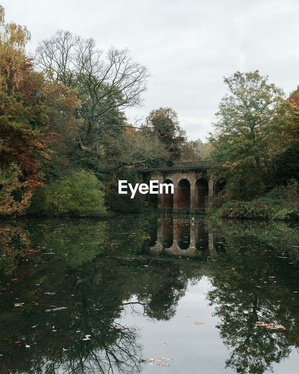 Bridge over river in park