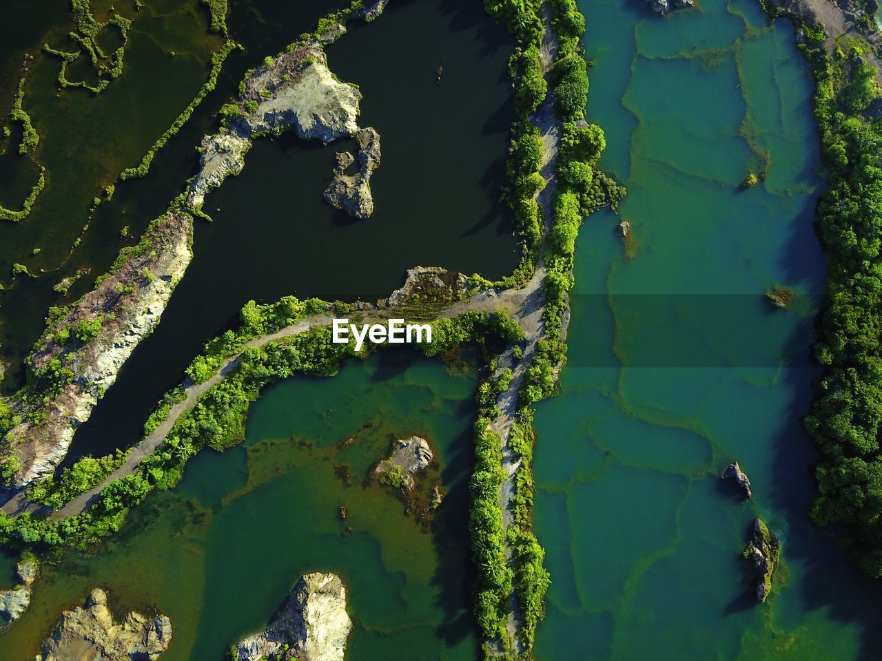 High angle view of plants by river