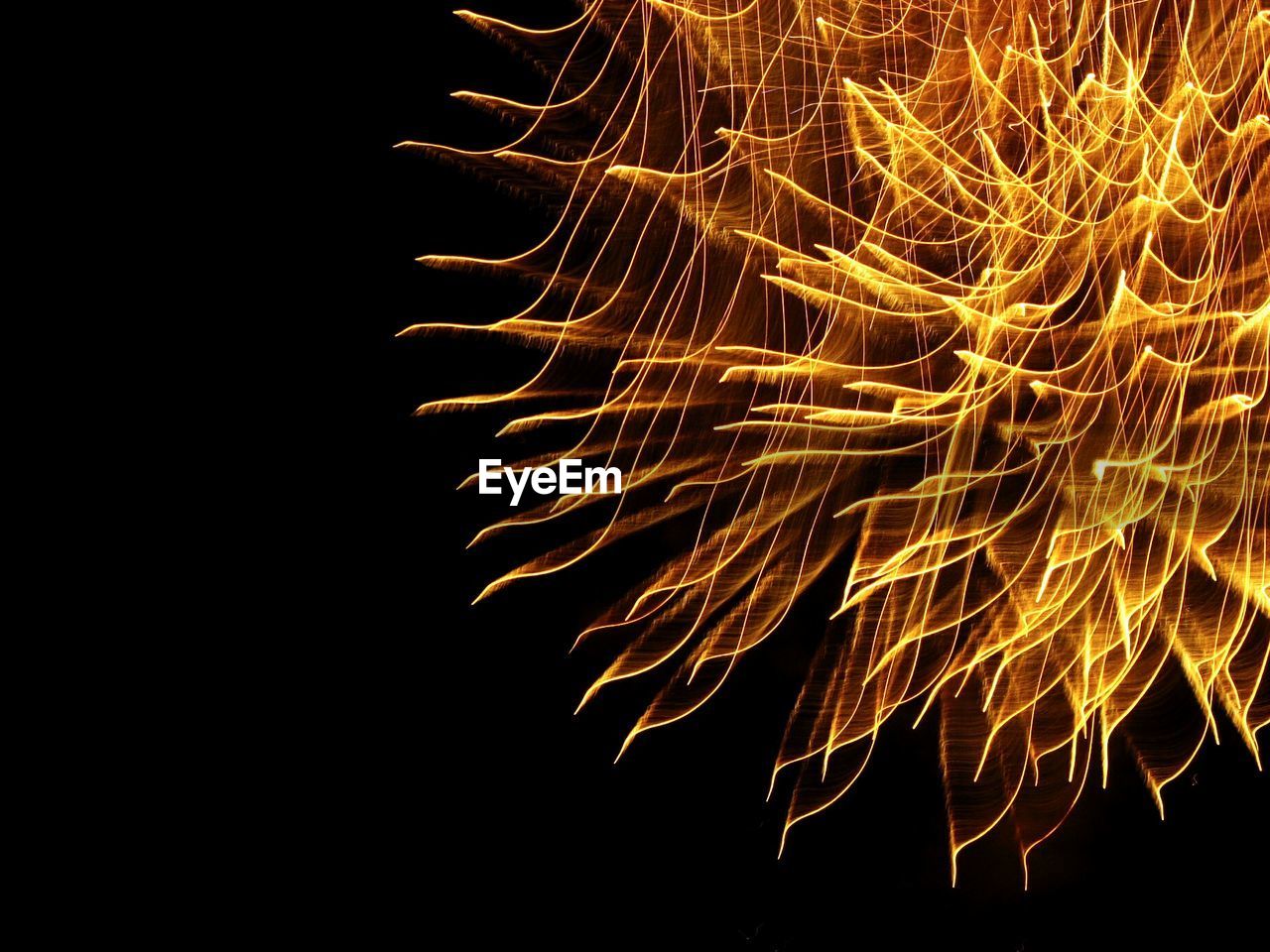 Low angle view of firework display against sky during night