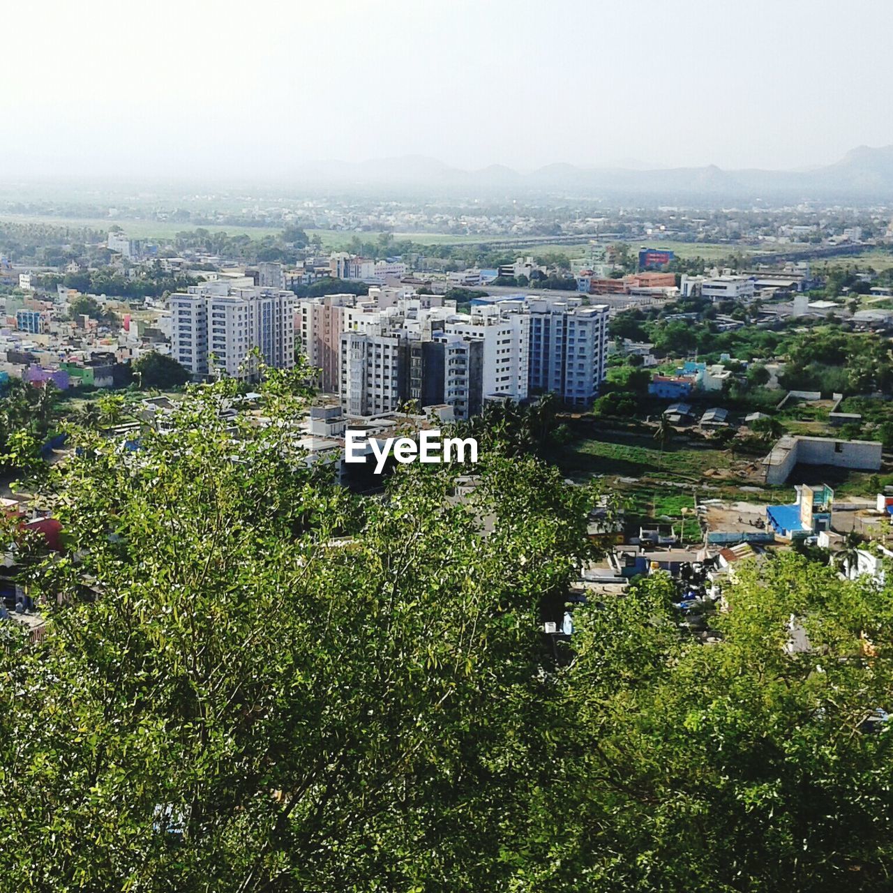 High angle view of trees with city in background