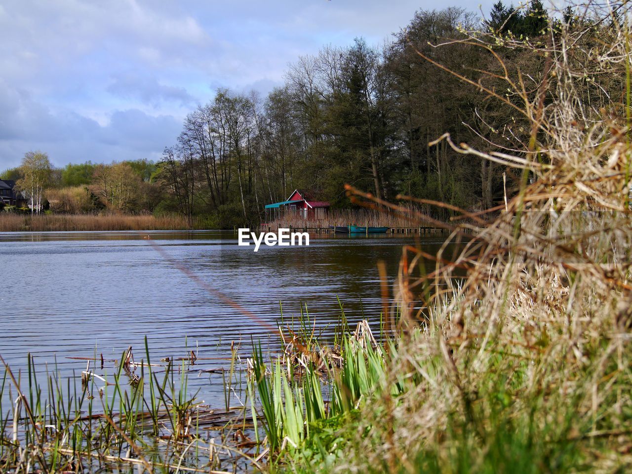 SCENIC VIEW OF LAKE AND TREES AGAINST SKY