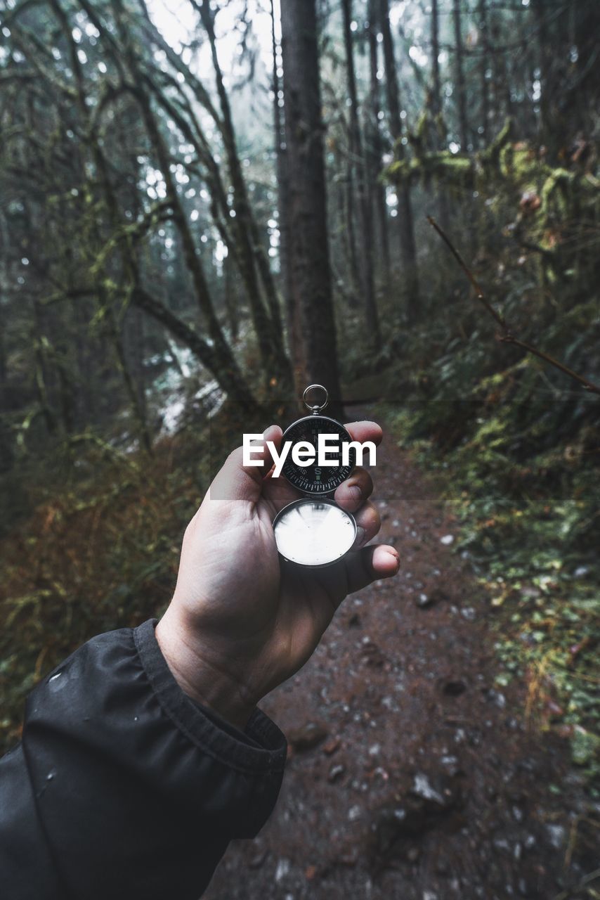 CLOSE-UP OF MAN HAND HOLDING TREE IN FOREST