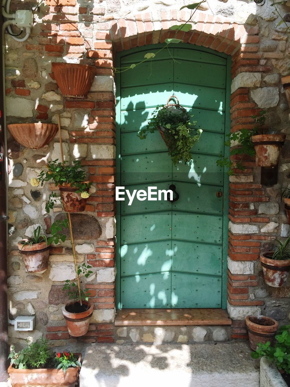 Potted plants on door