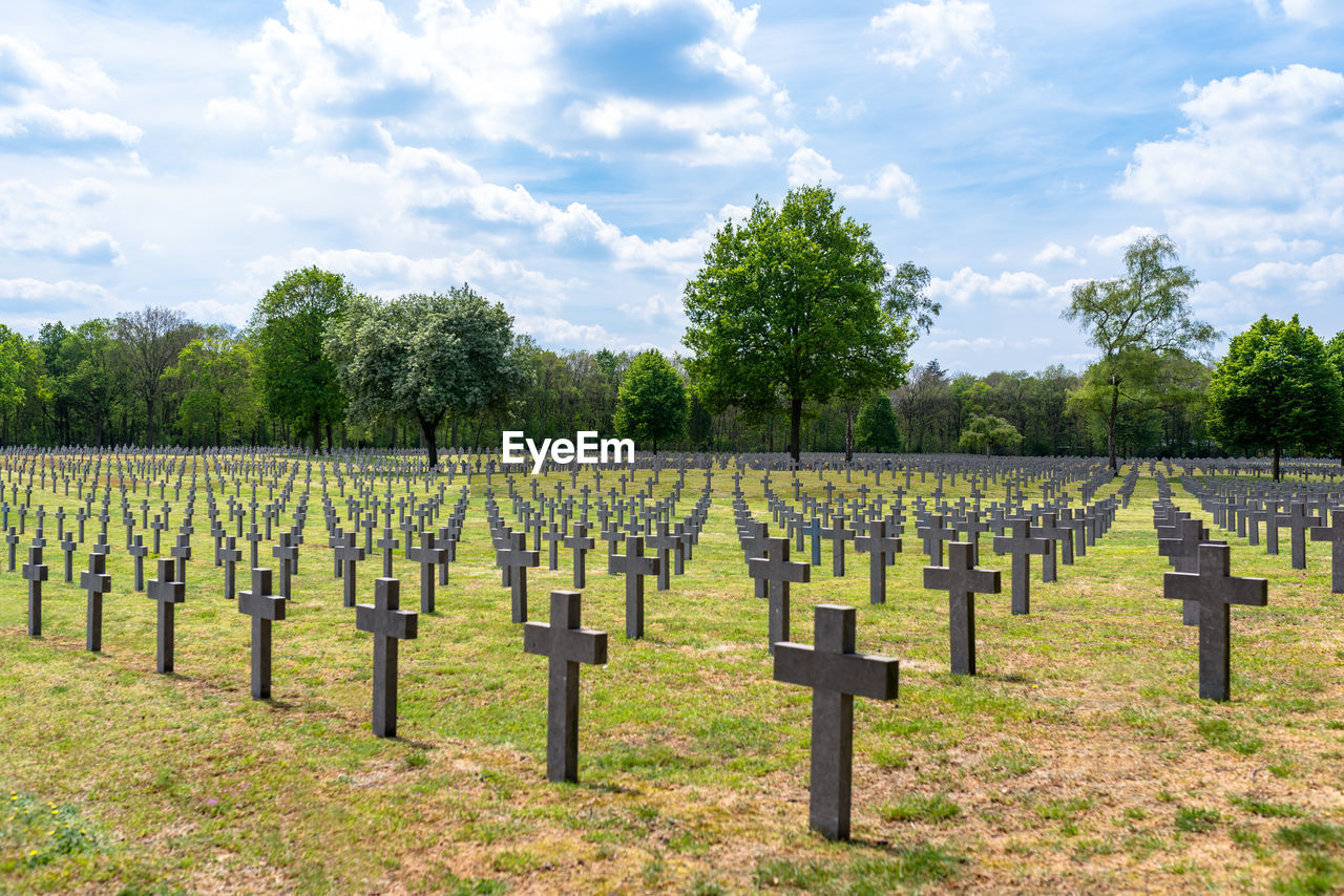 A lot of small, concrete crosses at the german war cemetery in the netherlands.