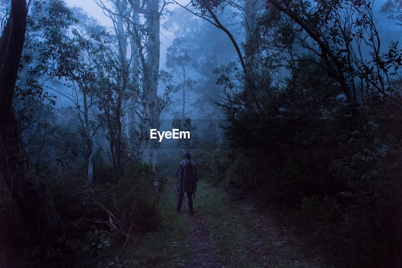 REAR VIEW OF MAN WALKING ON FOREST