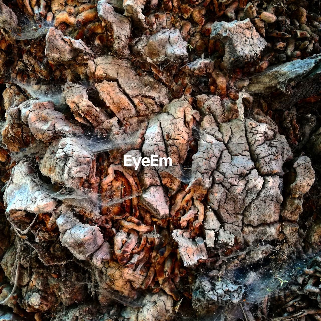 FULL FRAME SHOT OF ROCK
