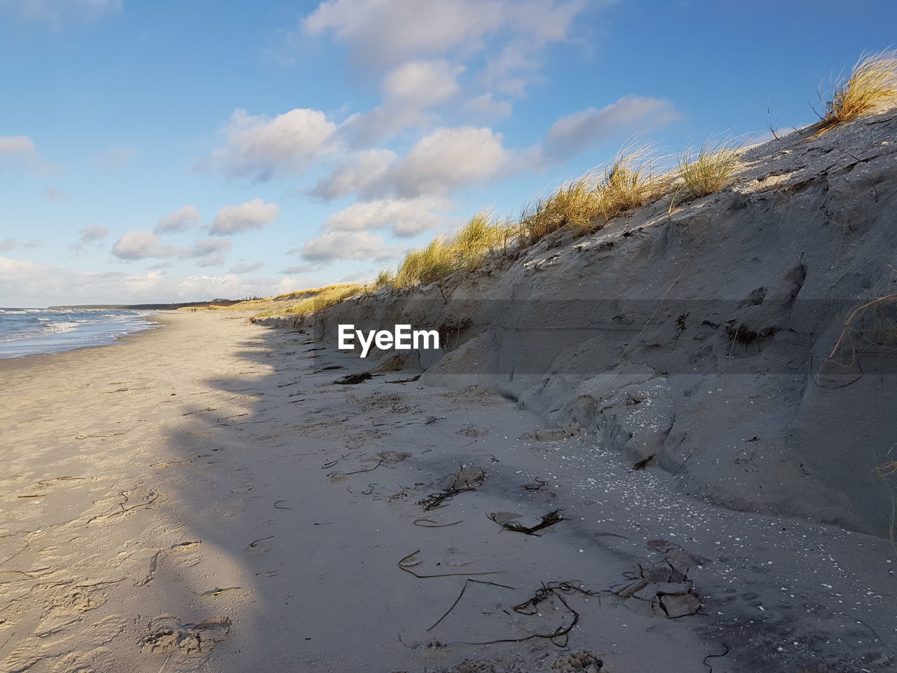 SCENIC VIEW OF BEACH