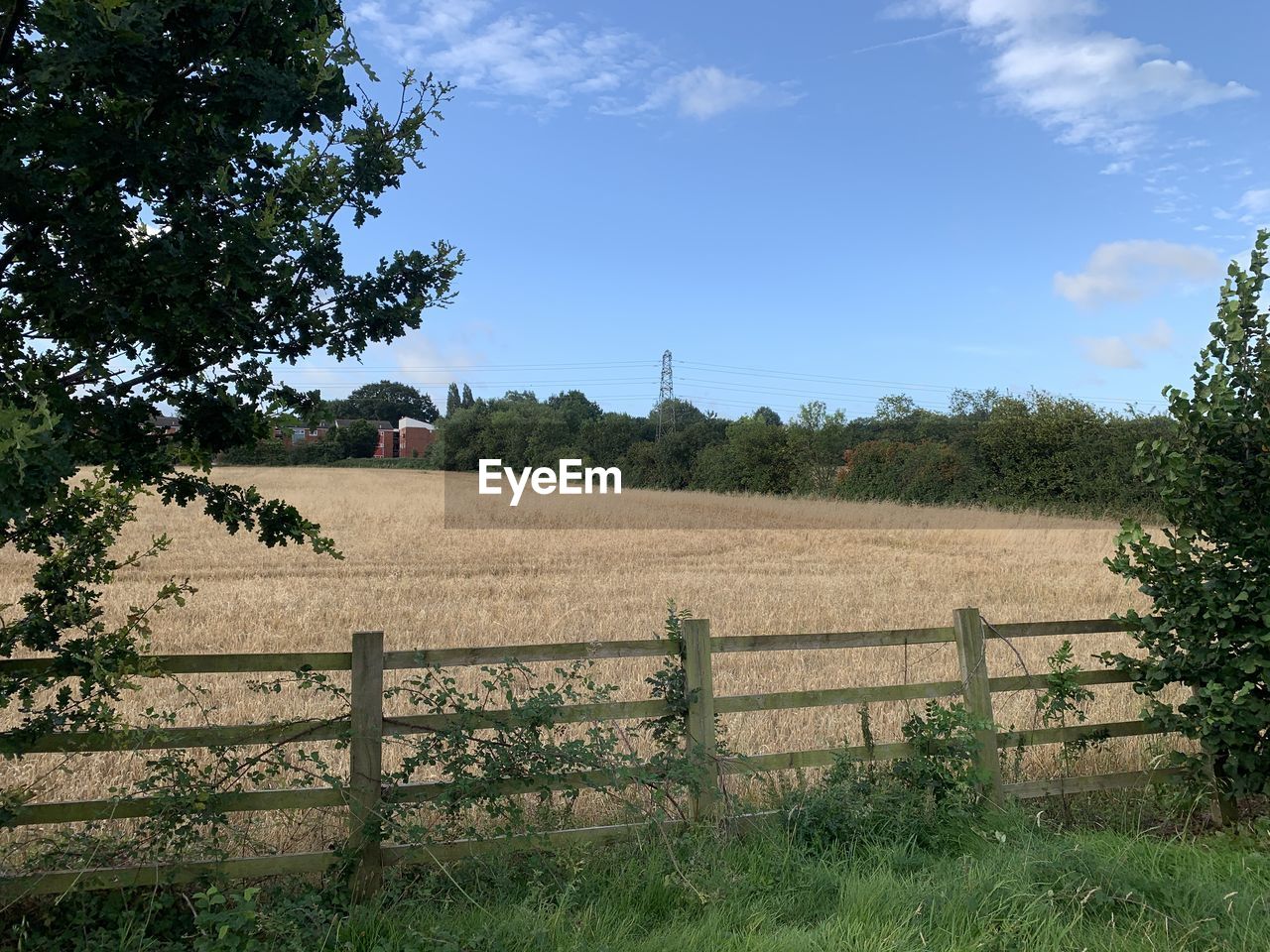 VIEW OF RURAL LANDSCAPE