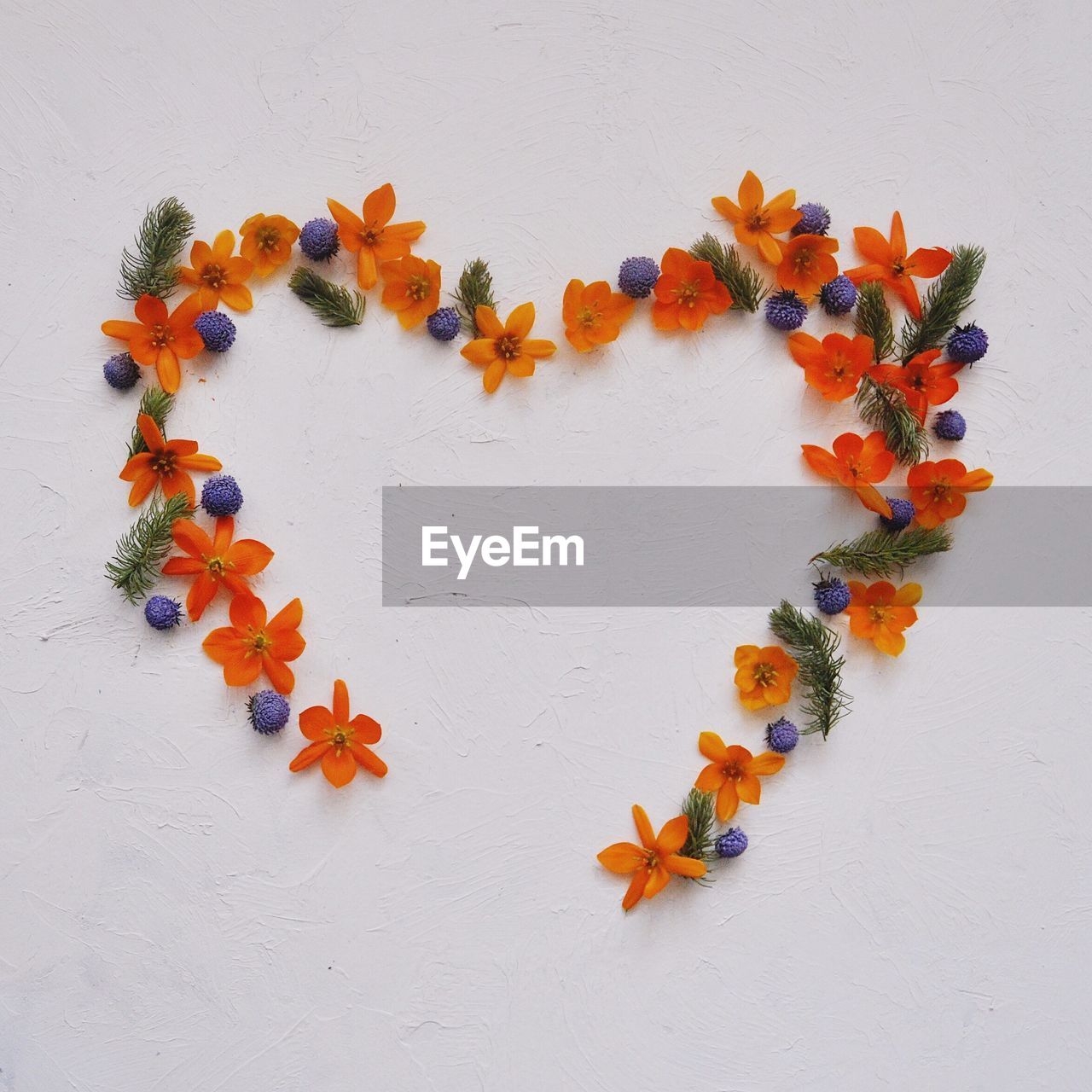 High angle view of orange flowers on table