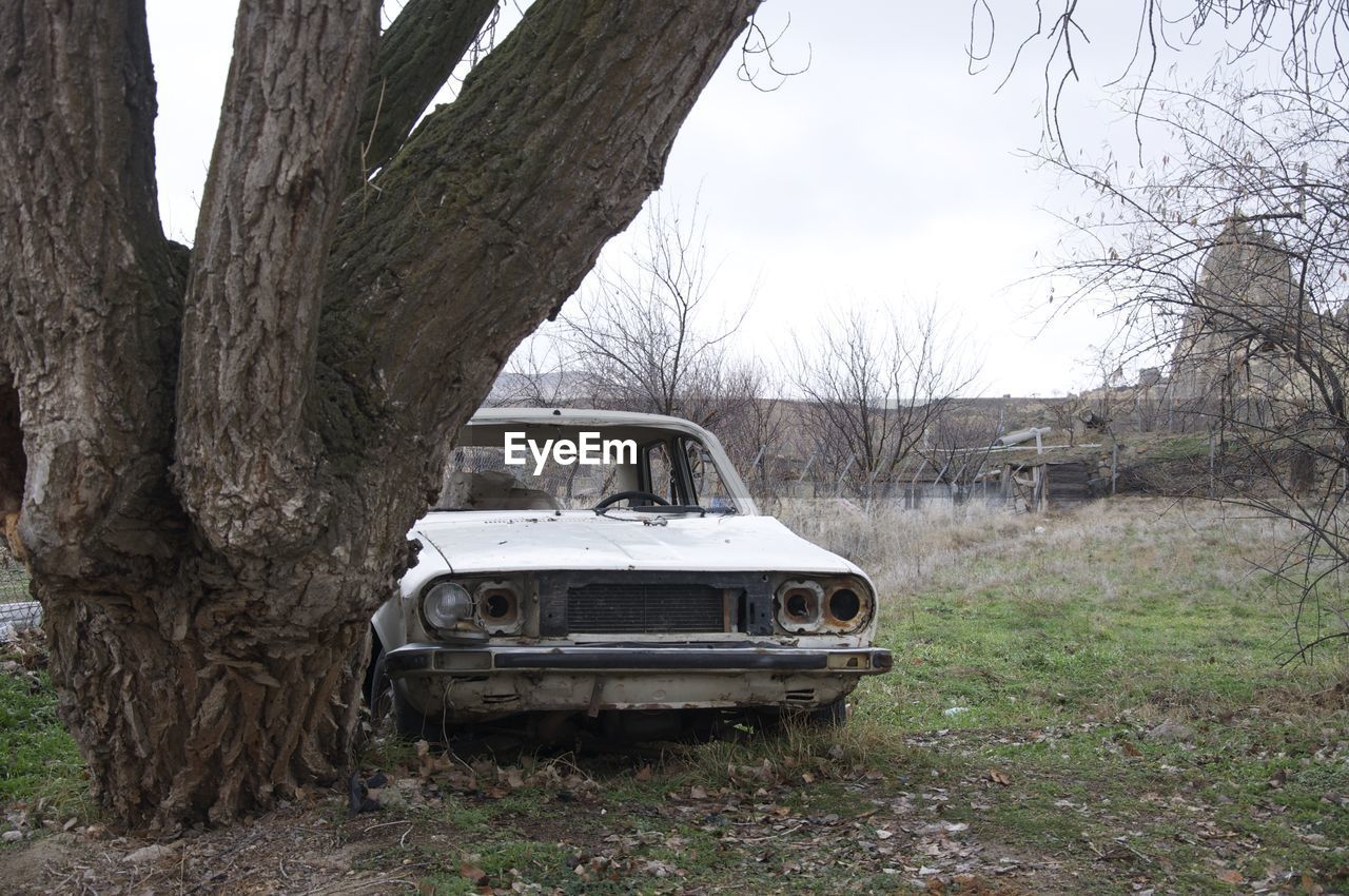 Abandoned car by tree against sky