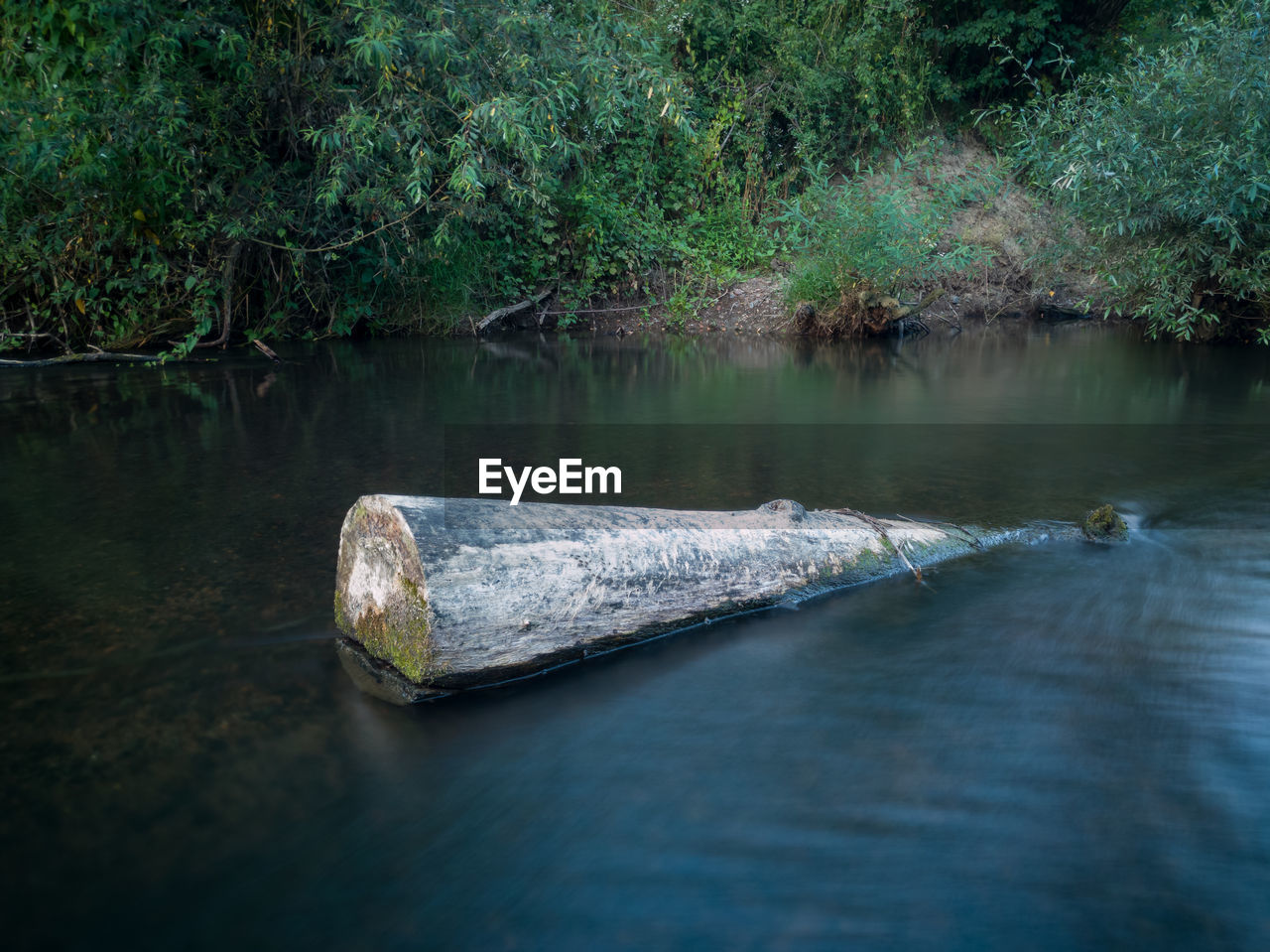 Tree stump in shallow river with fast current against shore overgrown with grass during dusk.