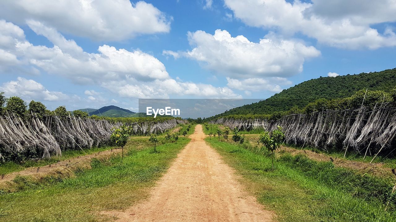 Scenic view of road amidst field against sky