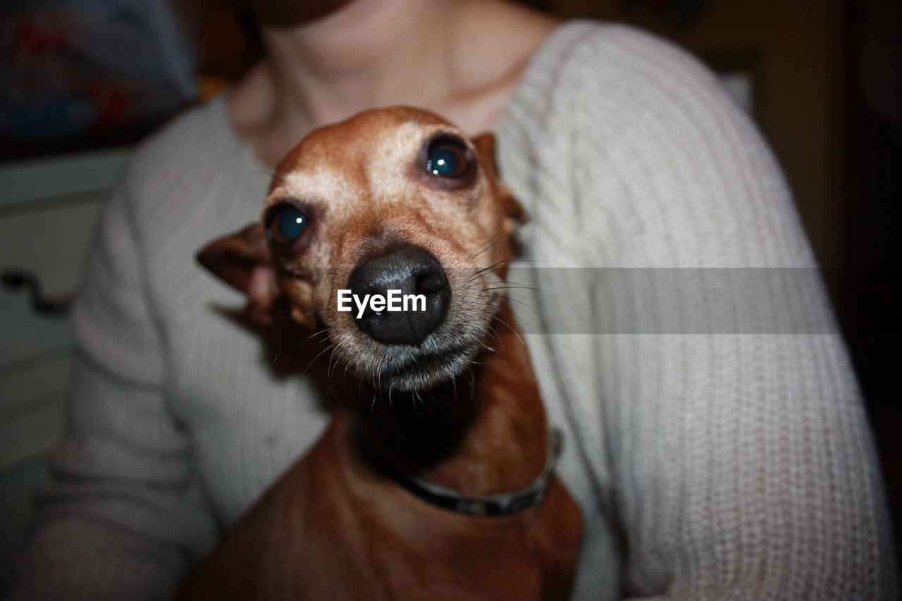 CLOSE-UP PORTRAIT OF DOG WITH MOUTH OPEN