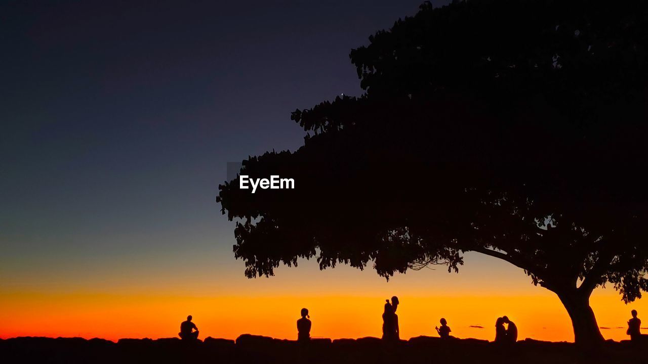 Waikiki Sunset Silhouette 03 - photograph by James Aiken Outside Silhouette Sunset Evening Dusk Hawaii Hawaiian Islands Hawaiian Sunset Hawaiian Beaches Oahu Oahu, Hawaii Honolulu  Honolulu, Hawaii Waikiki, Oahu, Hawaii Tree Koa Tree Pacific Ocean Ocean Ocean View Peace Peaceful Serenity Sunset Colors Outdoors Tropical Climate Tropics Flora Landscape Seascape Islands Island Life Nature Natural Beauty Stay Positive!