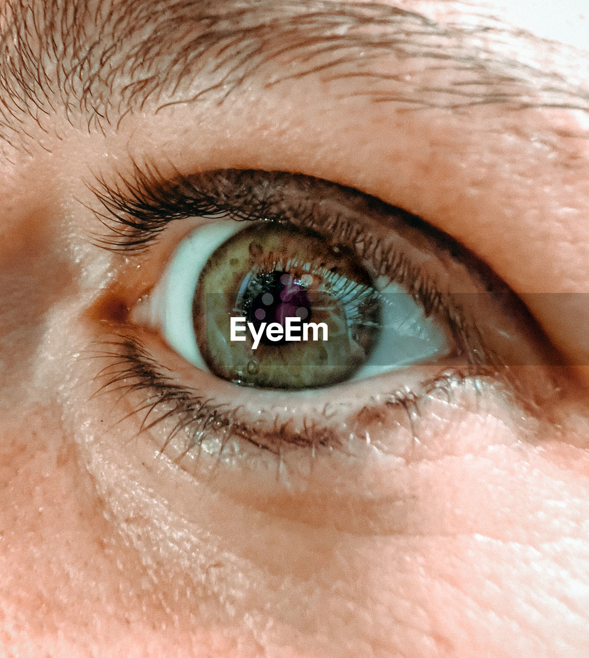 Close-up of human green eye with reflexes 