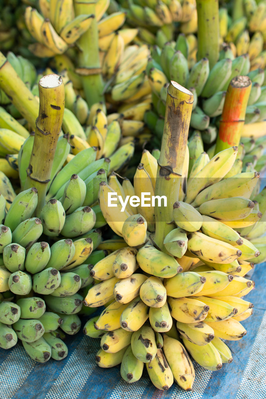 Banana, high angle view of fruits for sale in market