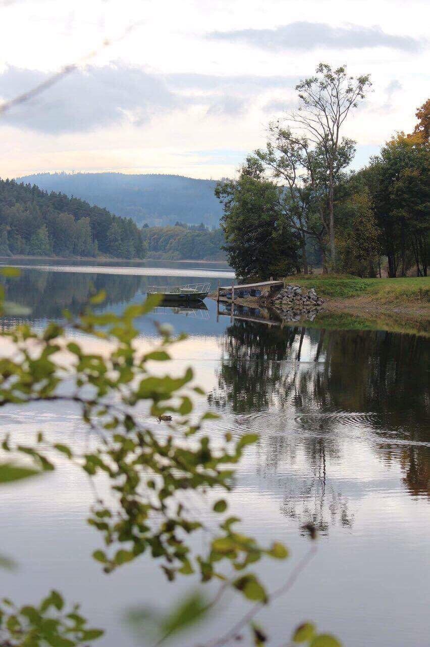 REFLECTION OF TREES IN LAKE