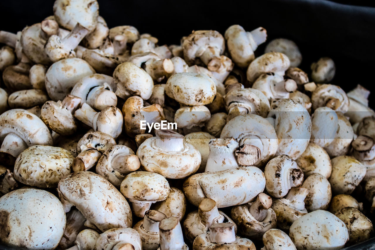 close-up of walnuts