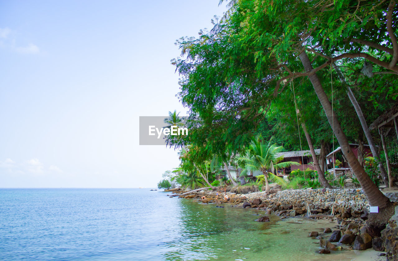 Scenic view of sea against clear sky