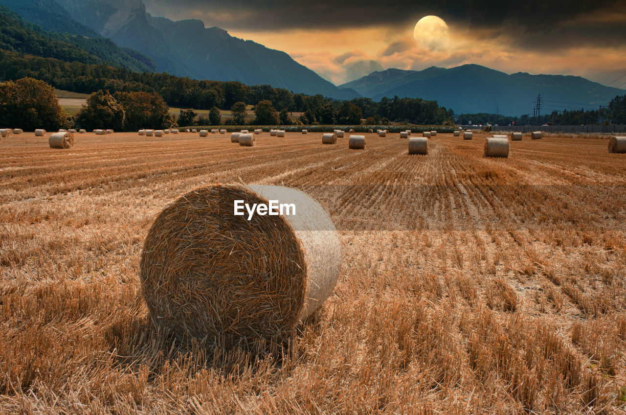 Hay bales on field against sky