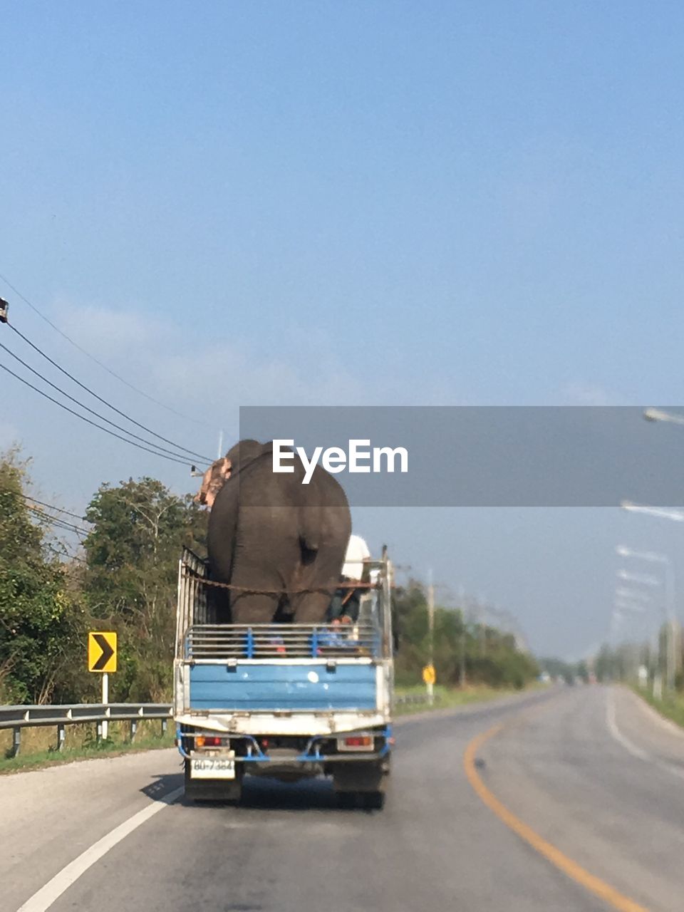 Cars on road against sky